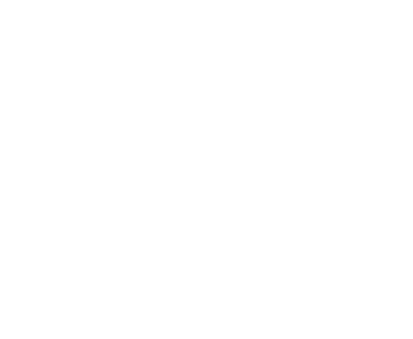 AS Integrative Concept